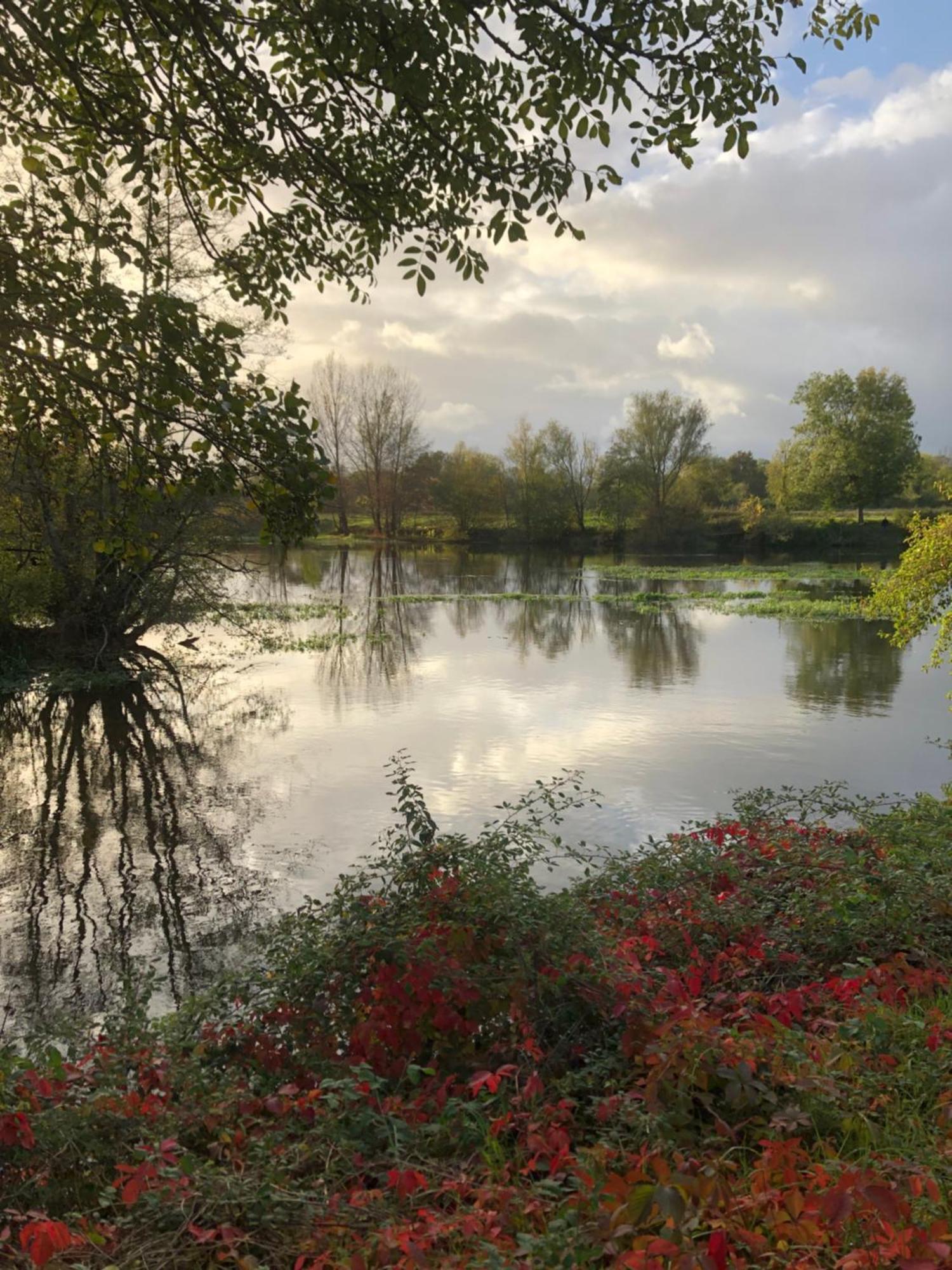 Le Numero 15 Saint-Seurin-sur-l'Isle Exteriér fotografie